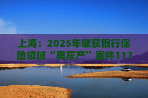 上海：2025年破获银行保险领域“黑灰产”案件117起 持续净化金融生态