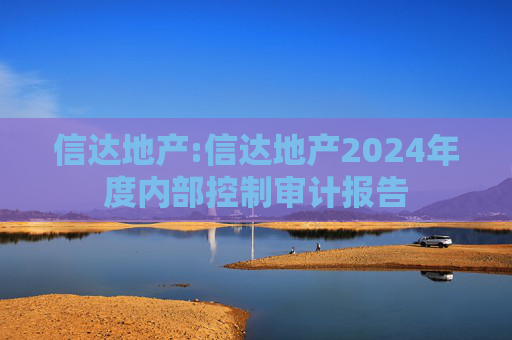 信达地产:信达地产2024年度内部控制审计报告