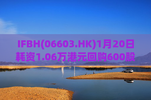 IFBH(06603.HK)1月20日耗资1.06万港元回购600股