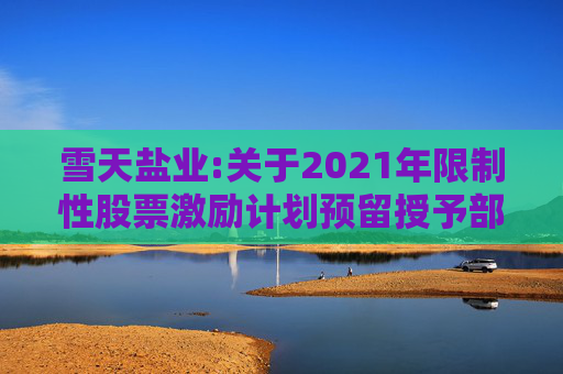 雪天盐业:关于2021年限制性股票激励计划预留授予部分限制性股票第三个解除限售期解除限售暨上市流通的提示性公告  第1张