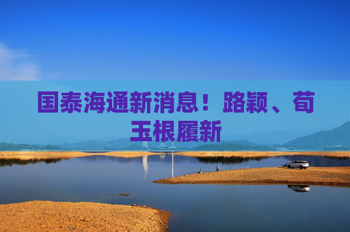 国泰海通新消息！路颖、荀玉根履新