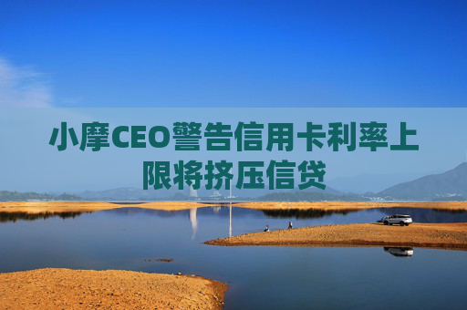 小摩CEO警告信用卡利率上限将挤压信贷