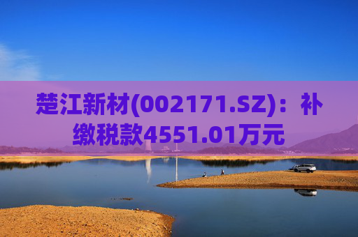 楚江新材(002171.SZ)：补缴税款4551.01万元