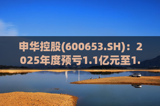 申华控股(600653.SH)：2025年度预亏1.1亿元至1.85亿元  第1张