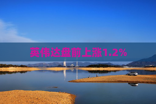 英伟达盘前上涨1.2%