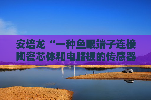 安培龙“一种鱼眼端子连接陶瓷芯体和电路板的传感器及组装方法”专利获授权  第1张
