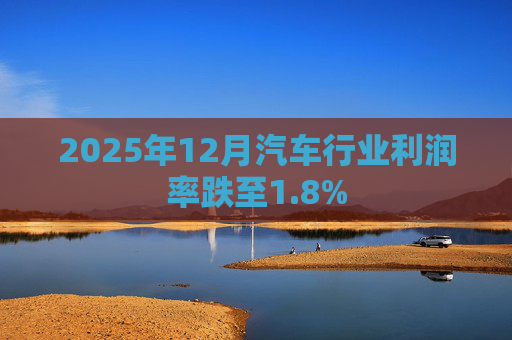 2025年12月汽车行业利润率跌至1.8%