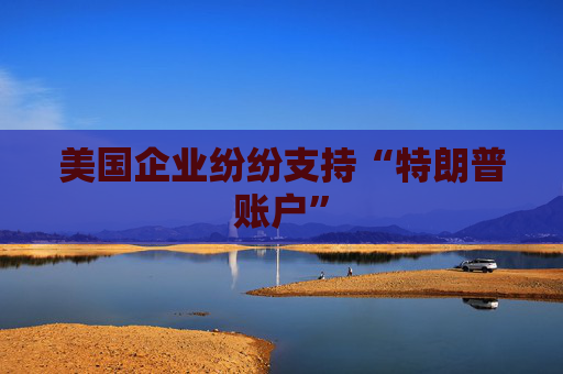 美国企业纷纷支持“特朗普账户”