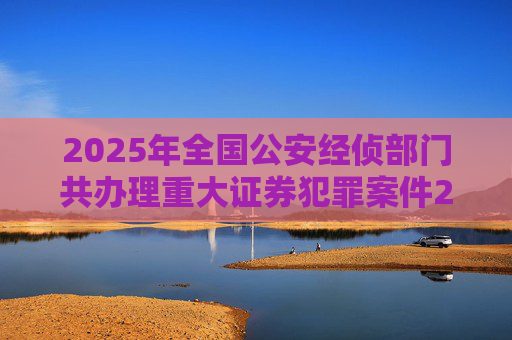 2025年全国公安经侦部门共办理重大证券犯罪案件200余起