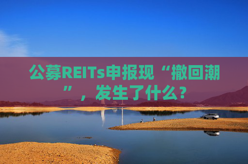 公募REITs申报现“撤回潮”，发生了什么？