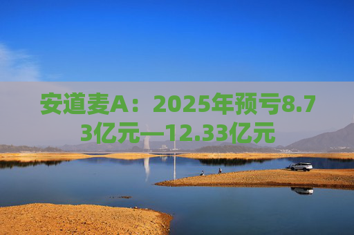 安道麦A：2025年预亏8.73亿元—12.33亿元
