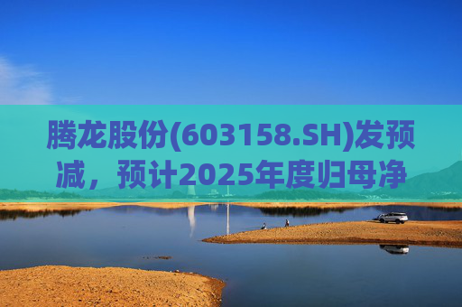 腾龙股份(603158.SH)发预减，预计2025年度归母净利润4600万元至6900万元，同比减少81.59%至72.38%