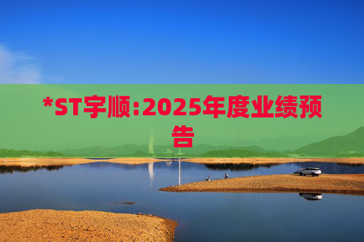 *ST宇顺:2025年度业绩预告