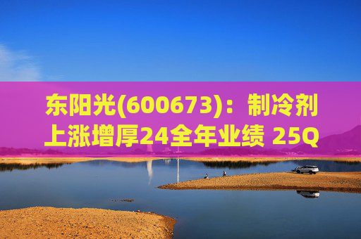 东阳光(600673)：制冷剂上涨增厚24全年业绩 25Q1业绩略超预期 液冷与具身智能共创未来