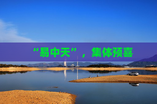 “易中天”，集体预喜