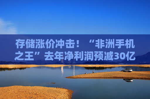 存储涨价冲击！“非洲手机之王”去年净利润预减30亿元