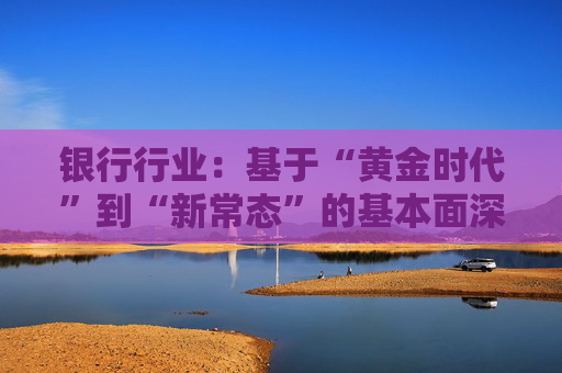 银行行业：基于“黄金时代”到“新常态”的基本面深度复盘：从规模扩张到价值创造：中国银行业二十年演进与中外模式比较