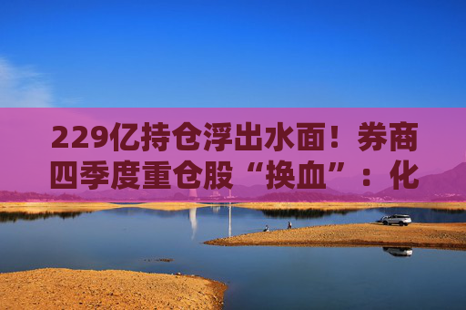 229亿持仓浮出水面！券商四季度重仓股“换血”：化工、硬件成新宠，高股息策略成制胜法宝