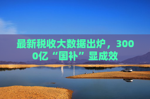 最新税收大数据出炉，3000亿“国补”显成效