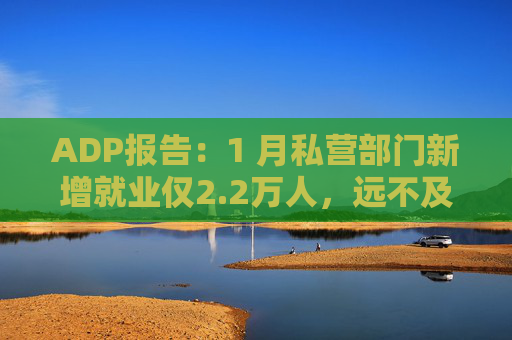 ADP报告：1 月私营部门新增就业仅2.2万人，远不及预期