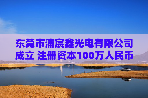 东莞市浦宸鑫光电有限公司成立 注册资本100万人民币