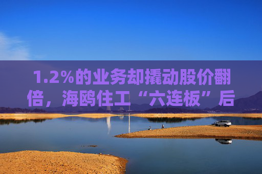 1.2%的业务却撬动股价翻倍，海鸥住工“六连板”后跌停，在越建厂能否扛住关税冲击？