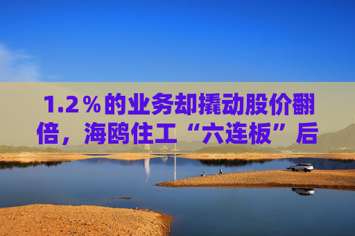 1.2％的业务却撬动股价翻倍，海鸥住工“六连板”后跌停，在越建厂能否扛住关税冲击？  第1张