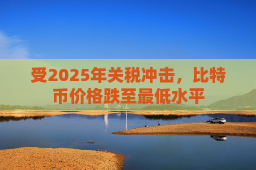 受2025年关税冲击，比特币价格跌至最低水平