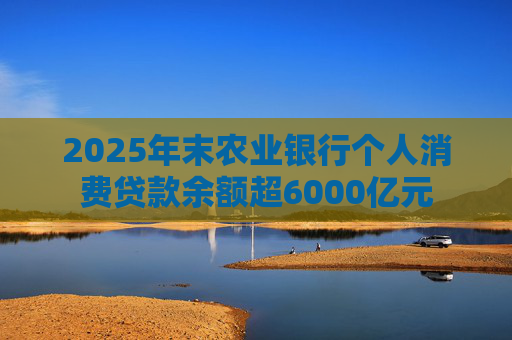 2025年末农业银行个人消费贷款余额超6000亿元