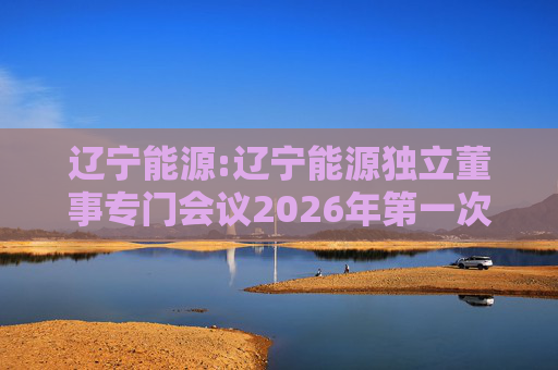 辽宁能源:辽宁能源独立董事专门会议2026年第一次会议决议