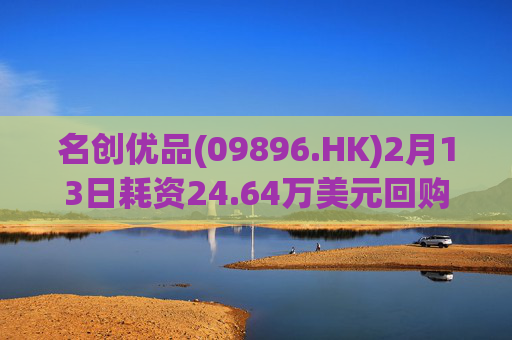 名创优品(09896.HK)2月13日耗资24.64万美元回购5.11万股