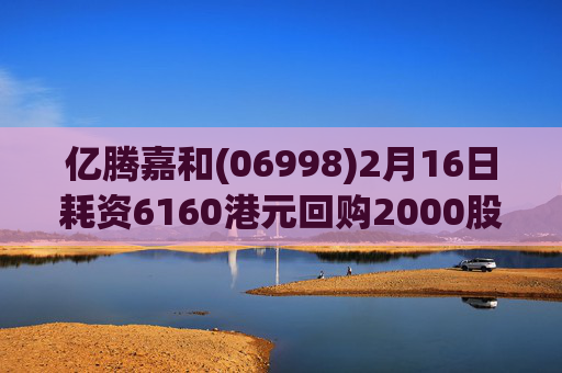 亿腾嘉和(06998)2月16日耗资6160港元回购2000股