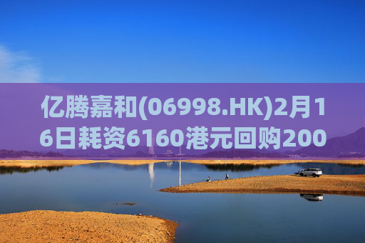 亿腾嘉和(06998.HK)2月16日耗资6160港元回购2000股