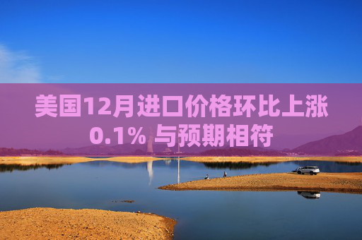 美国12月进口价格环比上涨0.1% 与预期相符