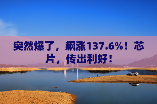 突然爆了，飙涨137.6%！芯片，传出利好！