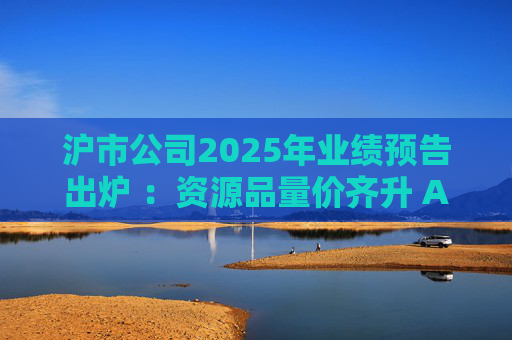 沪市公司2025年业绩预告出炉 ：资源品量价齐升 AI链景气延续