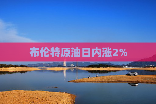 布伦特原油日内涨2%