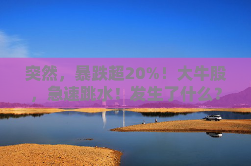 突然，暴跌超20%！大牛股，急速跳水！发生了什么？