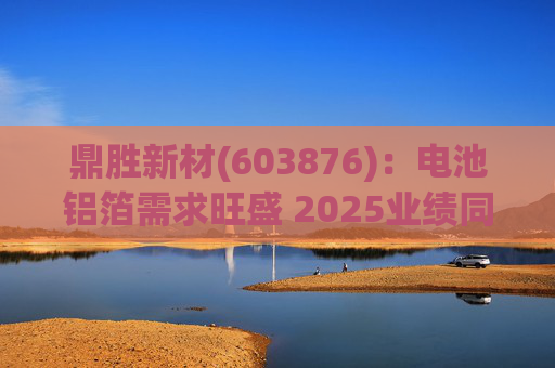 鼎胜新材(603876)：电池铝箔需求旺盛 2025业绩同比高增