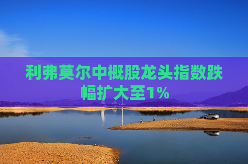 利弗莫尔中概股龙头指数跌幅扩大至1%
