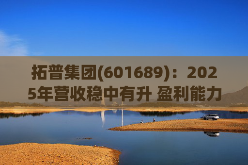 拓普集团(601689)：2025年营收稳中有升 盈利能力短期承压