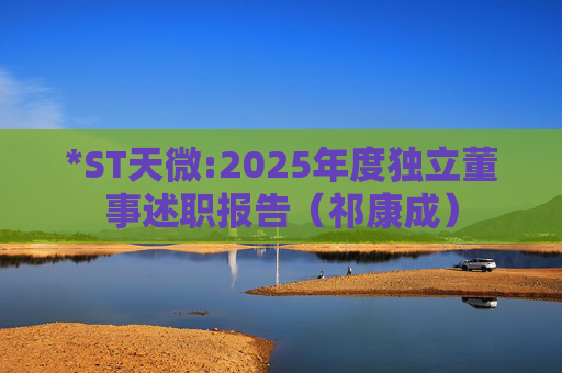 *ST天微:2025年度独立董事述职报告（祁康成）