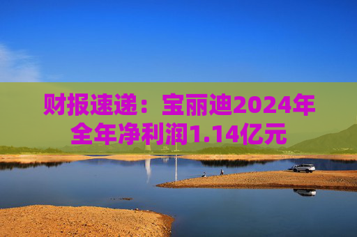 财报速递:宝丽迪2024年全年净利润1.14亿元