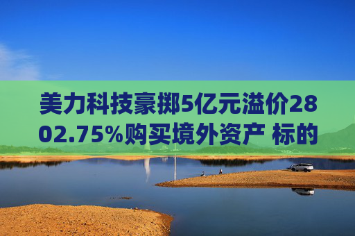 美力科技豪掷5亿元溢价2802.75%购买境外资产 标的连亏两年无业绩承诺|并购谈