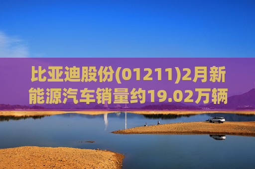 比亚迪股份(01211)2月新能源汽车销量约19.02万辆
