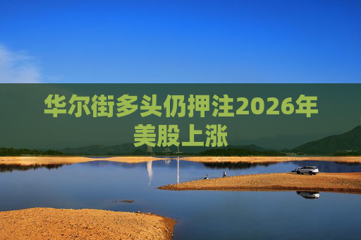 华尔街多头仍押注2026年美股上涨