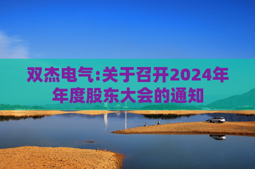 双杰电气:关于召开2024年年度股东大会的通知