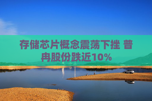 存储芯片概念震荡下挫 普冉股份跌近10%