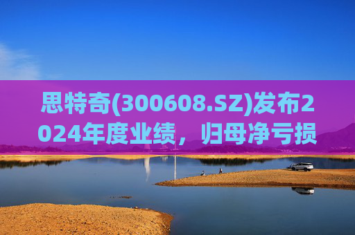 思特奇(300608.SZ)发布2024年度业绩，归母净亏损5110.85万元，由盈转亏  第1张