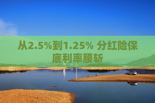 从2.5%到1.25% 分红险保底利率腰斩
